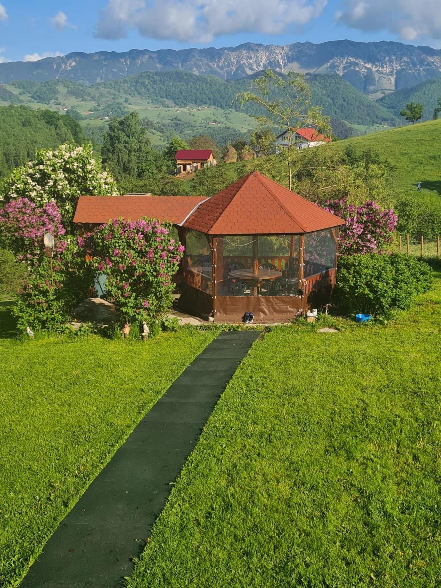 Nona Highland Home Moieciu de Jos Exterior photo