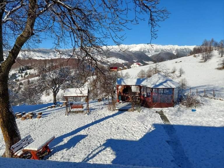 Nona Highland Home Moieciu de Jos Exterior photo